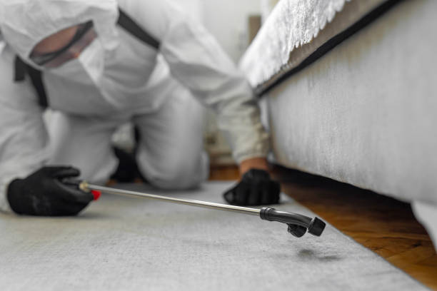 Professional Cockroach Control technician working in Lakefield, MN